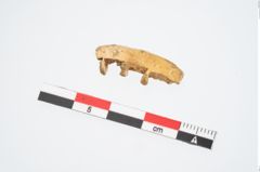 Foto von Eisenpilzknaufschwert (NHMW-PRAE-025449)